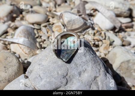 Magnifique nacre en gros plan sur la roche sur la plage de galets blancs, mer Ionienne en Grèce. Coquille dure en spirale posée sous le soleil Banque D'Images