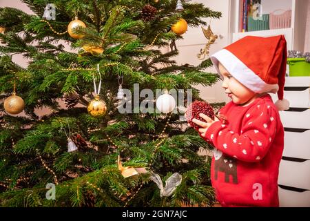 Petite fille de bébé portant le chandail rouge de noël aide à décorer arbre de Noël à la maison Banque D'Images