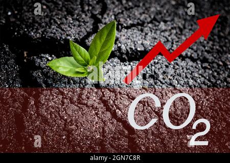 Augmentation du niveau de dioxyde de carbone. Catastrophe écologique et concept de réchauffement de la planète. Panneau d'avertissement d'augmentation de CO2 et plante verte sur le tarmac fissuré Banque D'Images