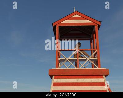 illustration 3d d'une femme portant un bikini assis sur un banc de bois, regardant au début de la plate-forme d'observation d'un ancien poste de maître-nageur Banque D'Images
