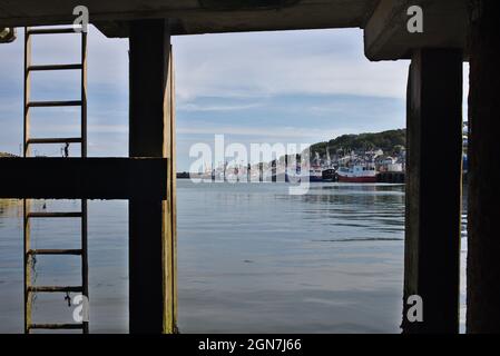 Newlyn Harbour Penzance Cornwall Royaume-Uni Banque D'Images