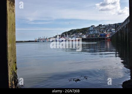 Newlyn Harbour Penzance Cornwall Royaume-Uni Banque D'Images