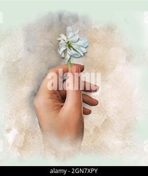 dessin aquarelle, main tenant une fleur blanche. Illustration vectorielle Illustration de Vecteur
