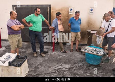 Les hommes achètent du poisson fraîchement pêché sur le quai dans le port pittoresque d'ACI Trezza (Acitrezza) près de Catane, Sicile, Italie Banque D'Images