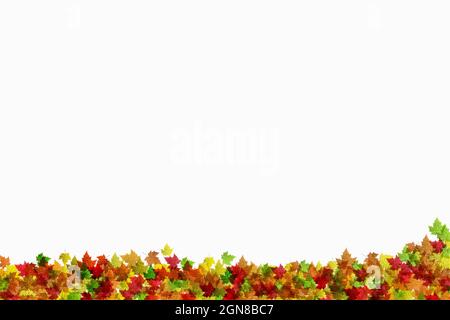 Coloré multicolore feuilles d'automne bordure au bas de la page sur un fond blanc avec espace de copie publicitaire pour placer yuor propre texte Banque D'Images