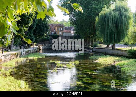 La source du fleuve Béze, Béze Côte-d'Or, Bourgogne, Bourgogne-Franche-Comté, France. Banque D'Images