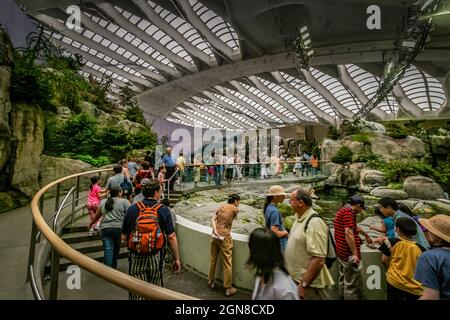 Montréal, Canada, le 31 juillet 2005 - chaque année, le célèbre musée écologique Biodôme accueille de nombreux visiteurs Banque D'Images
