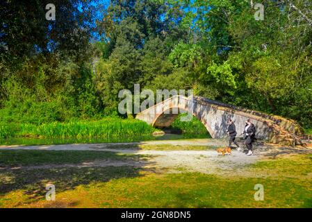 Marina di Pietrasanta pont de l'ancien Prince au-dessus de la rivière Fiumetto dans le parc Versiliana. Belle floraison de l'iris jaune sur la gauche, Versilia, Toscane, il Banque D'Images