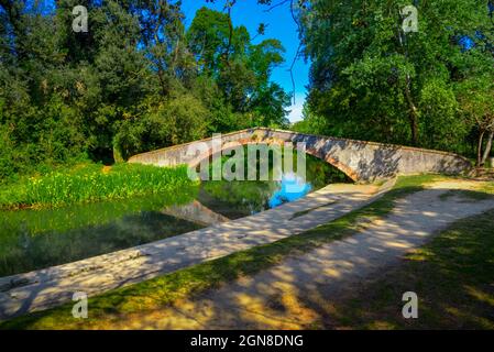 Marina di Pietrasanta pont de l'ancien Prince au-dessus de la rivière Fiumetto dans le parc Versiliana. Belle floraison de l'iris jaune sur la gauche, Versilia, Toscane, il Banque D'Images