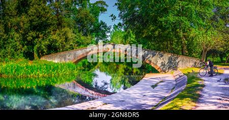 Marina di Pietrasanta pont de l'ancien Prince au-dessus de la rivière Fiumetto dans le parc Versiliana. Belle floraison de l'iris jaune sur la gauche, Versilia, Toscane, il Banque D'Images