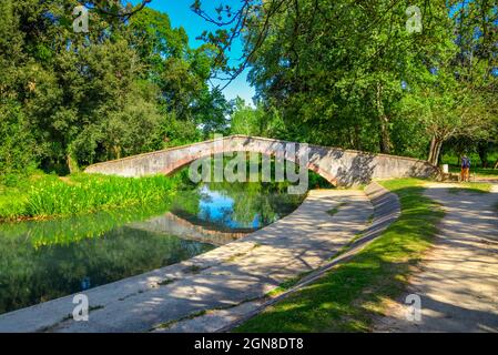 Marina di Pietrasanta pont de l'ancien Prince au-dessus de la rivière Fiumetto dans le parc Versiliana. Belle floraison de l'iris jaune sur la gauche, Versilia, Toscane, il Banque D'Images