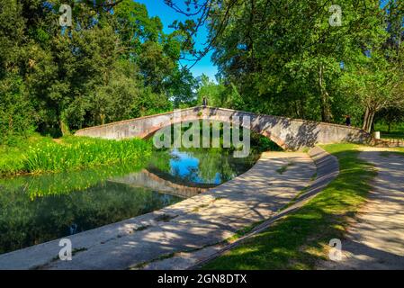 Marina di Pietrasanta pont de l'ancien Prince au-dessus de la rivière Fiumetto dans le parc Versiliana. Belle floraison de l'iris jaune sur la gauche, Versilia, Toscane, il Banque D'Images