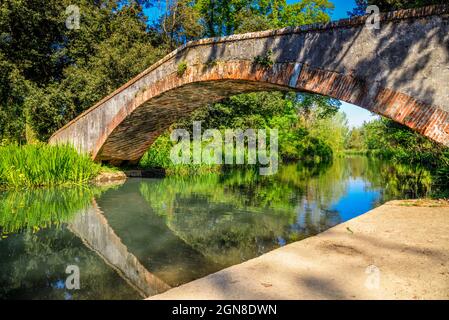 Marina di Pietrasanta pont de l'ancien Prince au-dessus de la rivière Fiumetto dans le parc Versiliana. Belle floraison de l'iris jaune sur la gauche, Versilia, Toscane, il Banque D'Images