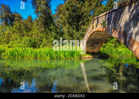 Marina di Pietrasanta pont de l'ancien Prince au-dessus de la rivière Fiumetto dans le parc Versiliana. Belle floraison de l'iris jaune sur la gauche, Versilia, Toscane, il Banque D'Images