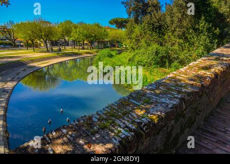 Marina di Pietrasanta pont de l'ancien Prince au-dessus de la rivière Fiumetto dans le parc Versiliana. Belle floraison de l'iris jaune sur la gauche, Versilia, Toscane, il Banque D'Images