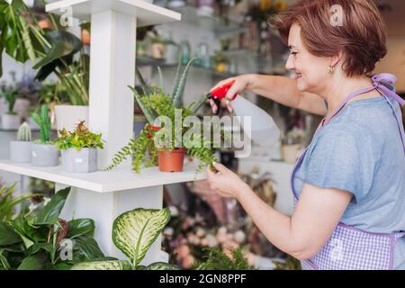 Une fleuriste souriante vaporise des plantes en pots tout en travaillant dans un fleuriste Banque D'Images