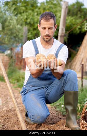 Agriculteur mâle tenant des pommes de terre pendant le crouching dans le champ agricole Banque D'Images