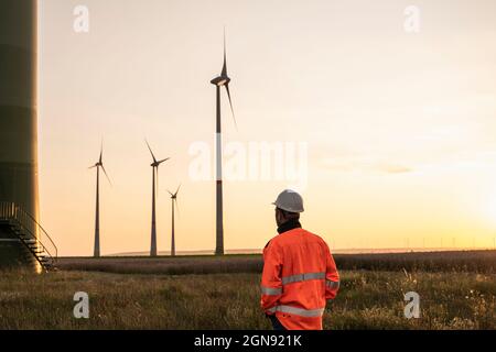 Inspecteur mâle regardant les éoliennes sur la prairie pendant le coucher du soleil Banque D'Images