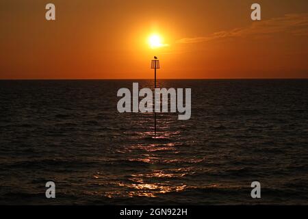 Heacham, Royaume-Uni. 22 septembre 2021. Un mouette se trouve sur un marqueur géante de défense de la mer à une belle fin de la journée juste avant le coucher de soleil d'automne de l'Equinox à Heacham, Norfolk, le 22 septembre 2021 crédit: Paul Marriott/Alay Live News Banque D'Images