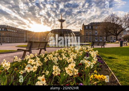 Allemagne, Bade-Wurtemberg, Stuttgart, a fleuri sur la place Schlossplatz au lever du soleil avec fontaine en arrière-plan Banque D'Images