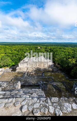 Mexique, Campeche, forêt tropicale verte vue des ruines mayas anciennes de Calakmul Banque D'Images