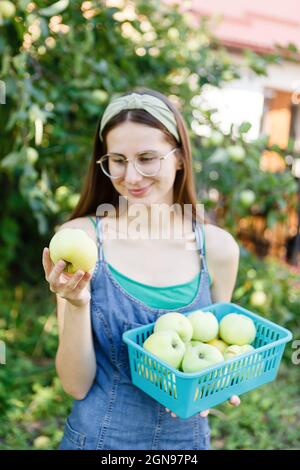 une jeune femme recueille des pommes dans un panier Banque D'Images