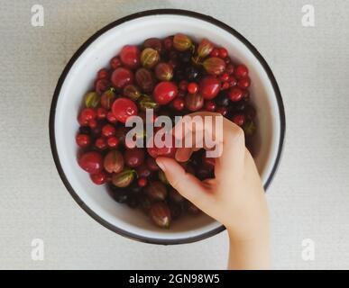 Cerise dans la main d'un enfant sur un bol de baies mélangées Banque D'Images