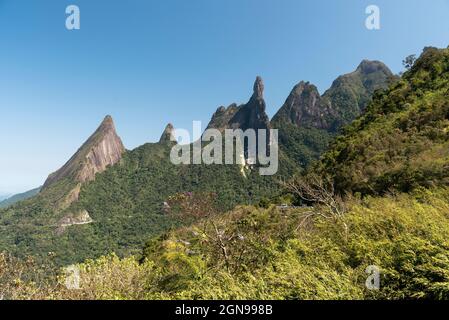 Magnifique paysage de forêt tropicale verte avec des montagnes rocheuses tranchantes, Rio de Janeiro, Brésil Banque D'Images