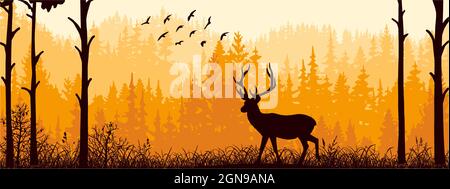 Bannière horizontale. Silhouette de cerf debout sur la prairie dans la forêt. Silhouette d'animal, d'arbres, d'herbe. Paysage magique et brumeux, brouillard. Orange, noir a Banque D'Images