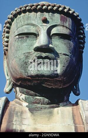 Japon. Kamakura. Kōtoku-dans le temple. Tête et épaules de la statue du grand Bouddha. Banque D'Images