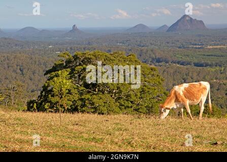 Vue sur les Glass House Mountains depuis la proximité de Maleny Banque D'Images