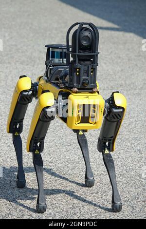 Chien robot jaune, adapté à la détection industrielle et à l'utilisation à distance. Mini-protection robot Spot. Turin, Italie - septembre 2021 Banque D'Images