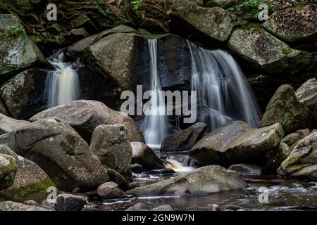 chutes de trap situées dans la forêt de l'état de willard brook à ashby, massachusetts Banque D'Images