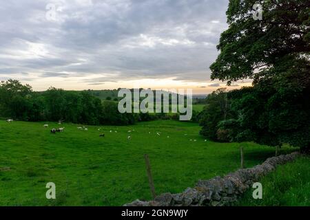 Campagne anglaise à l'extrémité ouest du Peak District, à la limite du Cheshire et du Satffordshire, près de Bollington Banque D'Images