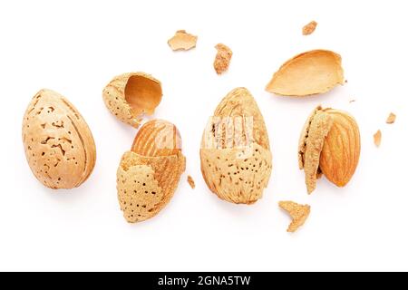 Gros plan de noix d'amandes avec coquille et coquille d'amandes fissurées isolées sur fond blanc. Banque D'Images