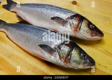 bar de mer frais de l'atlantique sur un panneau de bois pour faire du filet Banque D'Images
