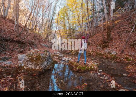 Femme en randonnée regardant la vue panoramique du paysage de montagne de feuillage d'automne. Voyage aventure en plein air dame debout se détendre et la randonnée dans la nature à l'autu Banque D'Images