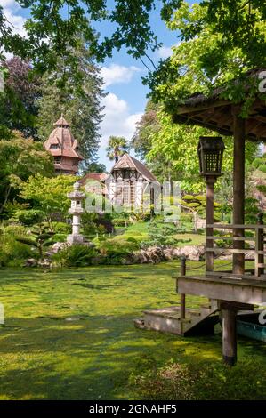 Maulevrier Oriental Park (les plus grands jardins japonais d'Europe), Maulevrier, Maine-et-Loire (49), pays de la Loire, France Banque D'Images