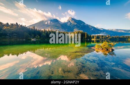 Belle matinée d'été sur le lac Hintersee. Scène extérieure colorée dans les Alpes autrichiennes, quartier de Salzbourg-Umgebung, Autriche, Europe. Artistique hâtive Banque D'Images