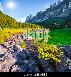 Belle matinée d'été sur le lac Vorderer Gosausee. Scène extérieure colorée dans les Alpes autrichiennes, région de la station balnéaire de Salzkammergut, dans la vallée de Gosau, dans l'Uppe Banque D'Images
