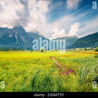 Prairie verte sur le club de golf Zugspitze, dans le village de Lermoos. Matin d'été coloré dans les Alpes autrichiennes, quartier de Reutte, état du Tyrol, Autriche, Banque D'Images