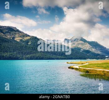 Matin d'été ensoleillé dans le parc sur le lac de Sils. Grande scène en plein air dans les Alpes suisses, région Lombardie de la province de Sondrio, Italie, Europe Banque D'Images