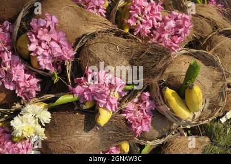 Offrandes de noix de coco et de fleur pour Dieu pour des rituels dans le temple hindou à Chennai, Tamil Nadi, Inde. Photo de Sondeep Shankar Banque D'Images