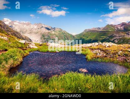 Matin d'été coloré près du lac Totensee au sommet de Grimselpass. Magnifique scène en plein air dans les Alpes suisses, canton de Berne, Suisse, Europe. Banque D'Images