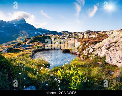 Matin d'été coloré près du lac Totensee au sommet de Grimselpass. Magnifique scène en plein air dans les Alpes suisses, canton de Berne, Suisse, Europe. Banque D'Images