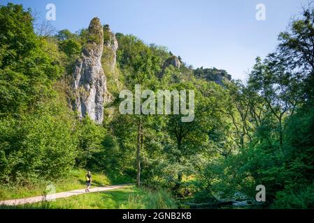 Une personne randonnée de Milldale à Dovedale après Ilam Rock dans Dovedale Derbyshire Peak District National Park Derbyshire East Midlands Angleterre GB Banque D'Images