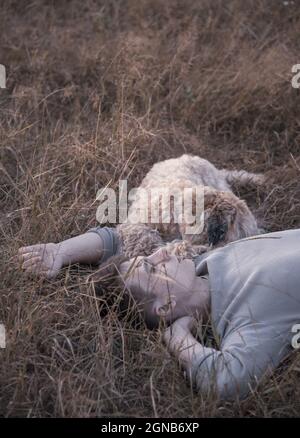 Portrait d'un jeune homme de 18 ans, allongé avec un chien, doux-enduit Wheaten Terrier, dans l'herbe sèche, dans les rayons du soleil couchant. Banque D'Images