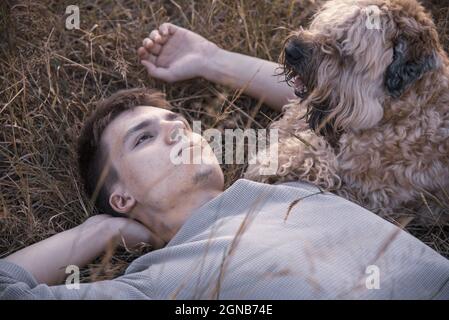 Portrait d'un jeune homme de 18 ans, allongé avec un chien, doux-enduit Wheaten Terrier, dans l'herbe sèche, dans les rayons du soleil couchant. Banque D'Images