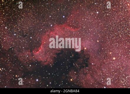 La nébuleuse nord-américaine dans la constellation de Cygnus vue de San Vincenzo en Toscane, Italie, avec un télescope réfractaire de 80 mm Banque D'Images