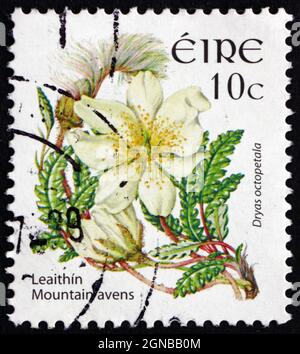 IRLANDE - VERS 2004: Un timbre imprimé en Irlande montre les fours de montagne, Dryas octopetala, plante florale, vers 2004 Banque D'Images